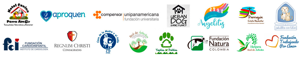 ayuda-fundaciones-aldeamo
