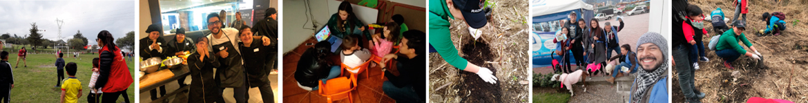 collage-labor-social