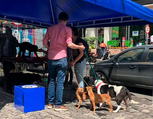 labor-social-aldeamo-2019